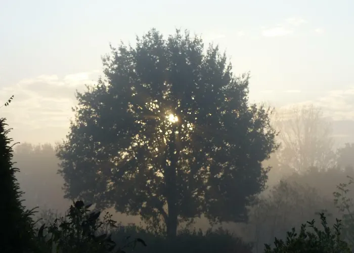 Fewo Emsland