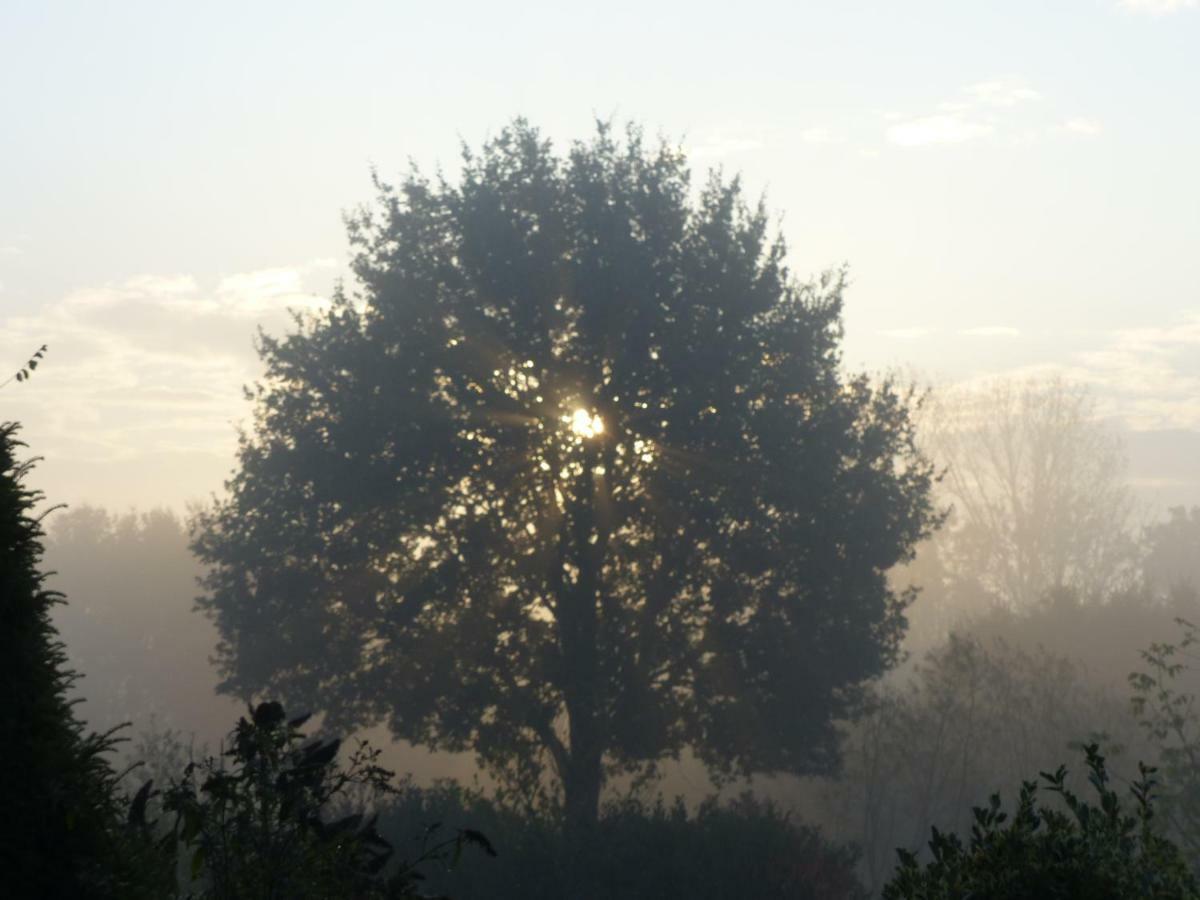 Emsland